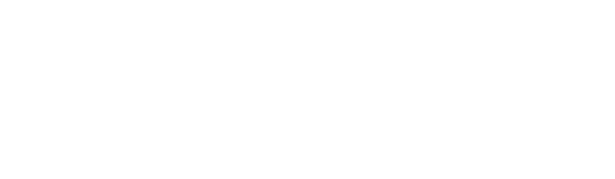 Roadmap Phases